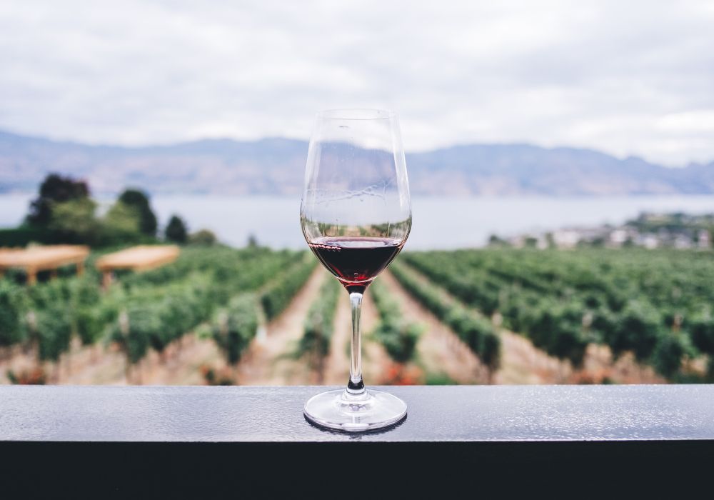 Wine Tastings on the French Riviera: Explore the Terroirs of Provence
