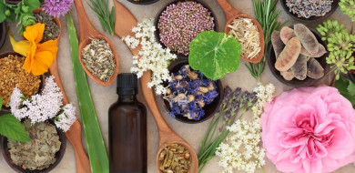 Focus on Grasse: a sensory journey