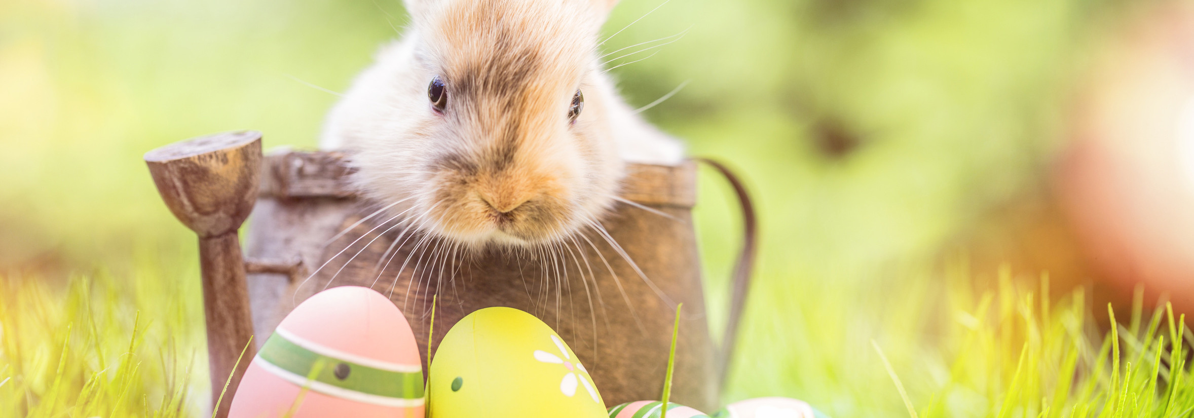 Easter symbols and traditions