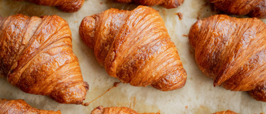 How to Order at a French Patisserie: Essential Phrases & Etiquette