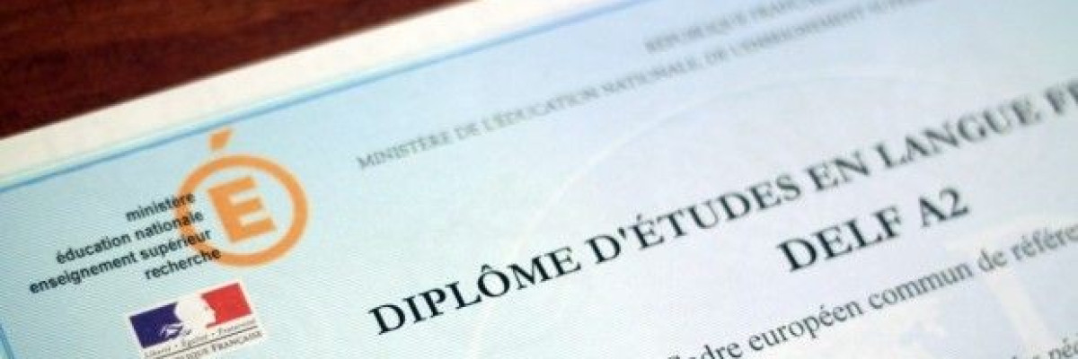 Is the DELF Certificate Worth It?