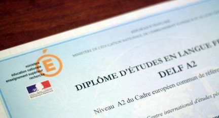 Is the DELF Certificate Worth It?