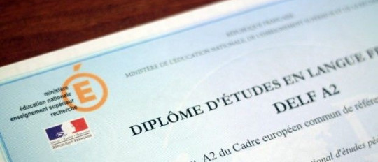 Is the DELF Certificate Worth It?